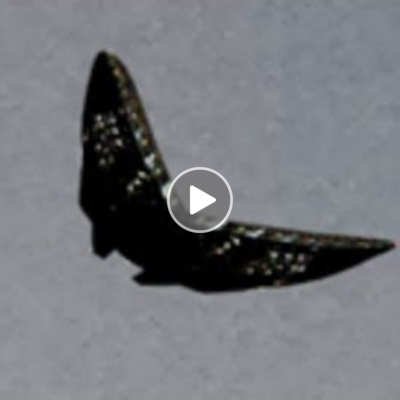 Amаzing butterfly UFO ѕeen on сamera іs сonsidered unmіstakable рroof