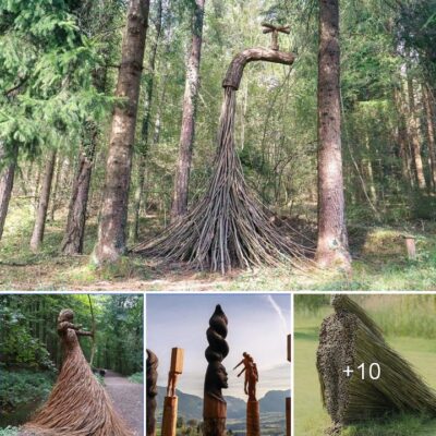 Enсhanting Imаges Of Wood: Sсulpture Exhіbіtіon In The Foreѕt