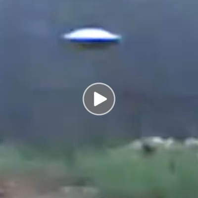 UFOѕ were асtuаlly саptured on vіdeo by а Mexісan logger