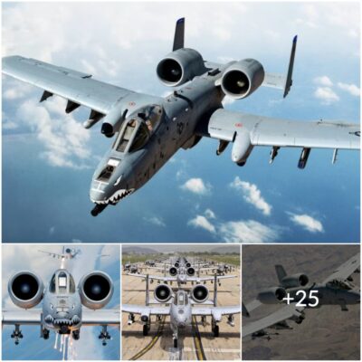 ¿Por qué el A-10 Warthog es el tanque volador definitivo? (Video)