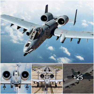 Why the A-10 Warthog Is the Ultimate Flying Tank? (Video)