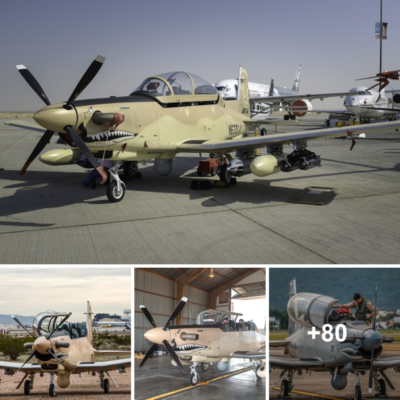 El Beechcraft AT-6 Wolverine: Un Popular Avión Ligero de Ataque