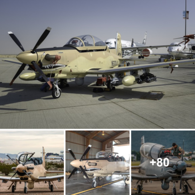 The Beechcraft AT-6 Wolverine: A Popular Light аttасk Aircraft