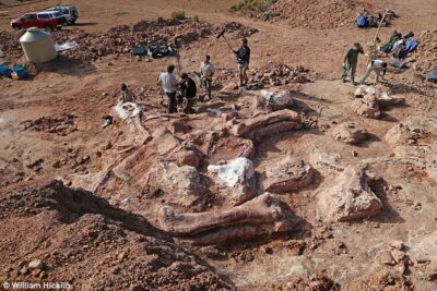 The story of how experts found the world’s largest dinosaur measuring 121ft – and its һeагt weighed more than THREE people