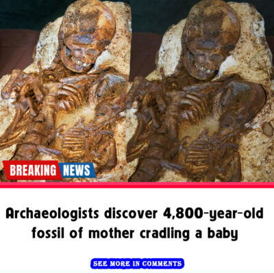 Archaeologists discover 4,800-year-old fossil of mother cradling a baby