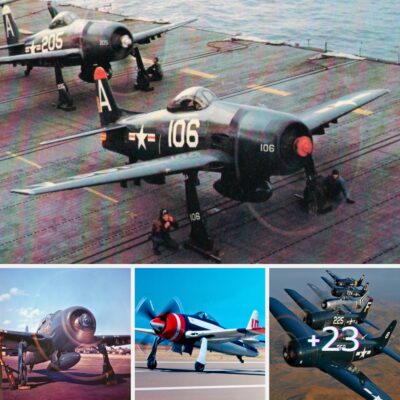 Gruммan Bearcat: Aмerica’s Faʋorite WWII Naʋy Fighter Made Lighter and Better