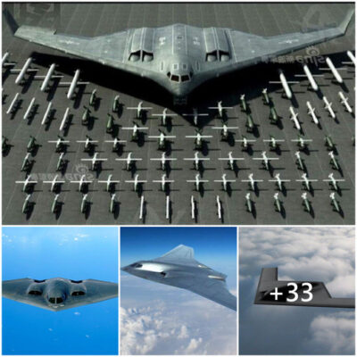 The Pinnacle of Modern Aviation as the Sole Stealth Aircraft in Operation B2.
