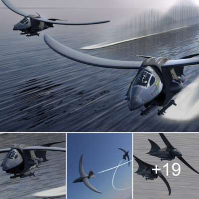 Hawk: El avión de combate diseñado por Steve Wheeler