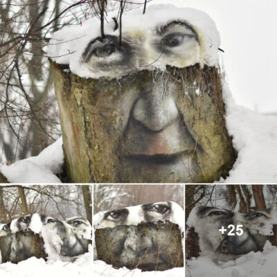 Snowy Canvases: Stunning Portraits Painted with Spray Paint on Freshly Fallen Snow