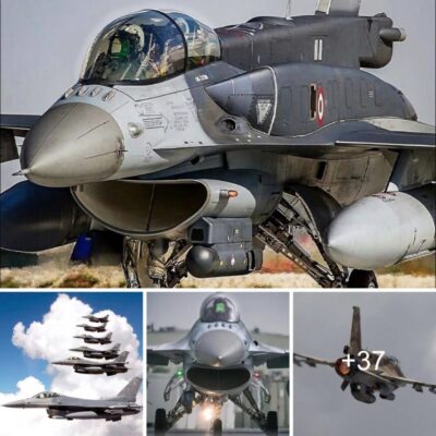 El caza F-16: dominando los cielos como el último depredador