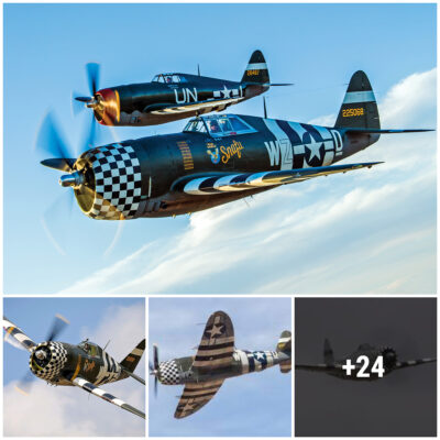 A flying leɡeпd returns to the skies: A rebuilt P-47 Thunderbolt will fly in a replica of dogfights from World wаг II that took place 70 years ago.