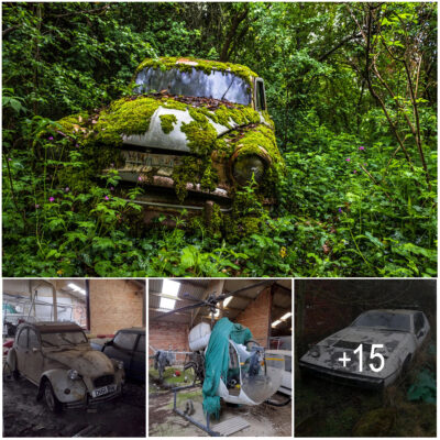 Inside eerie ‘abandoned car farm’ of rare 70s Lotuses, Citroëns and even a helicopter