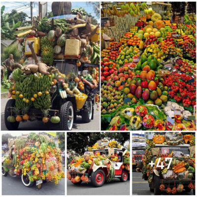 Mobile Nature Delights: The Enchanting Appeal of Homemade Fruit Trucks