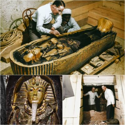 Unveiling the Dark Secret Behind the Mummy of Tutankhamun: The Curse of the Pharaohs