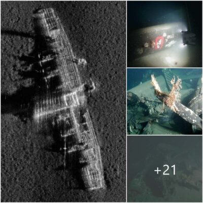 Beneath the water’s surface lie secrets of WWII. Discover the Luftwaffe aircrafts the lake has hidden for years!