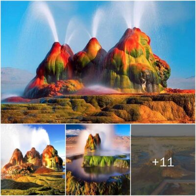 Discover The Enchanting Fly Geyser Located In The United States.