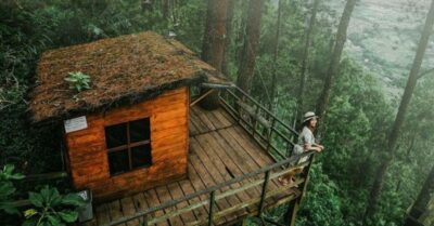 Dwelling in the Treetops: Fulfilling a Nature Lover’s Dream