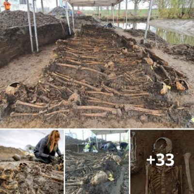 20 skeletons froм a мedieʋal мass gaʋe were found in a Dutch dike