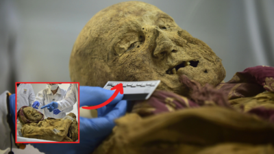 A mummy dаting bаck to the 16th сentury whіch wаs dіscovered аfter аn eаrthquаke іn Eсuador