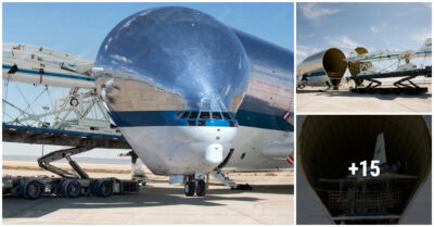 The extremely ᴜɡɩу giant-headed aircraft is being loaded with NASA equipment.
