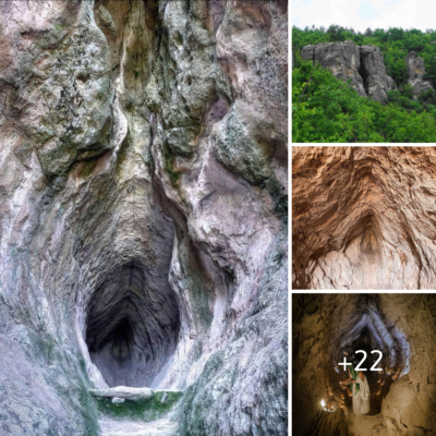 Unveiling the Mystery: Exploring the Ancient Wonder of the 3000-Year-Old Womb Cave