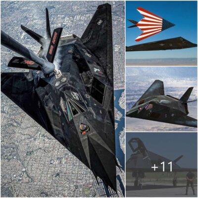 El F-117 Nighthawk: Nueve Datos Asombrosos sobre el Legendario “Caza Furtivo” de Estados Unidos