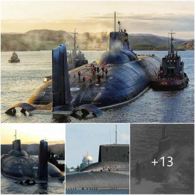 The ‘Dmitry Donskoy’ is the largest submarine in the world.