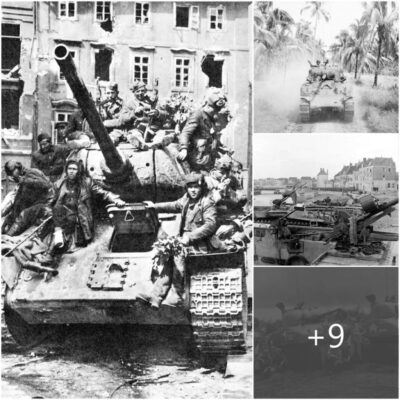 Los Titanes de Acero en la Liberación: La Marcha Decisiva del M4A1 Sherman en Leyte