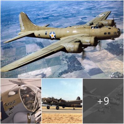 Las Múltiples Caras del B-17G Flying Fortress