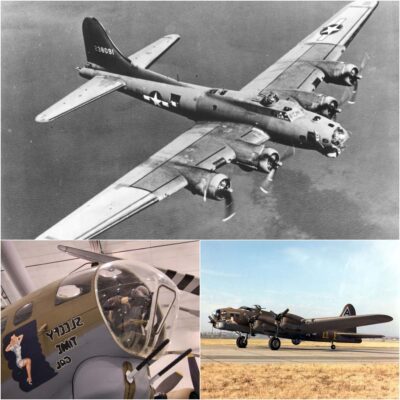 Many Faces of the B-17G Flying Fortress