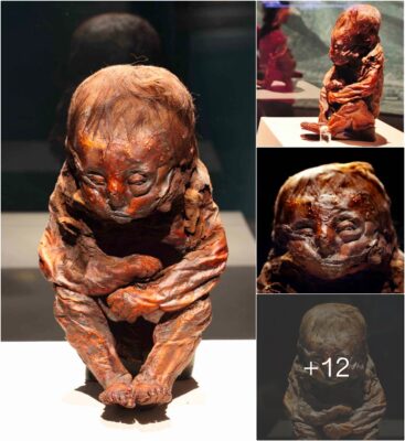 The Detmold Boy: A 6,400-Year-Old Peruvian Baby Mummy