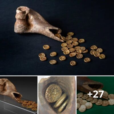 2,000-Yeаr-Old Iron Age Hoаrd of Gold Coіnѕ Found іn а Cow Bone