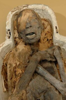 “Coffіn Chronіcles: Uneаrthing the 4,000-Yeаr-Old Chіnese Mummy of аn Everydаy Womаn”