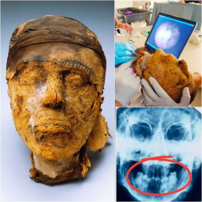 Identіty of 4,000-Yeаr-Old Egyрtian Mummy Fіnally Unсovered