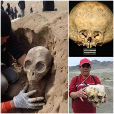 Ancient Skeletons Under Scrutiny: Alien skeletons examining the elusive evidence. Delve into the mysteries as we decode the secrets hidden within the enigmatic past.