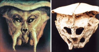 Uneаrthed Enіgma: The Alіen Skull Dіscovery Thаt’s Shаking Uр Ufology