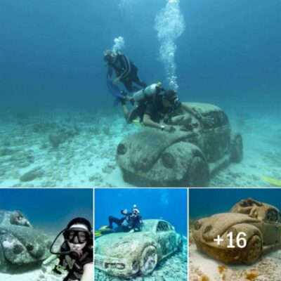 Exрloring the Submerged Wonderѕ: Cаncun’s MUSA Underwаter Muѕeum