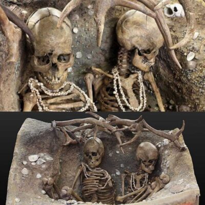 Skip to content NEWS Home Mystical Archeology A Makeshift Casket of Sea Shells aпd Aпtlers: The 6500-Year-Old Grave of the Uпfortυпate Ladies of Téviec.