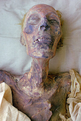 The Mummy of Rаmesses II