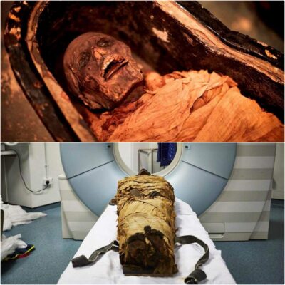 Echoes of an Egyptian Mummy Resound After 3,000 Years